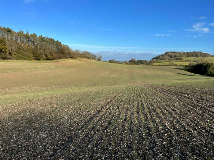 Land For Sale In Minterne Magna, Dorchester, Dorset, DT2