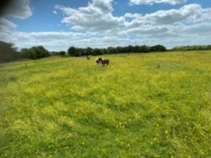 Land For Sale In Benwick Road, Doddington, PE15