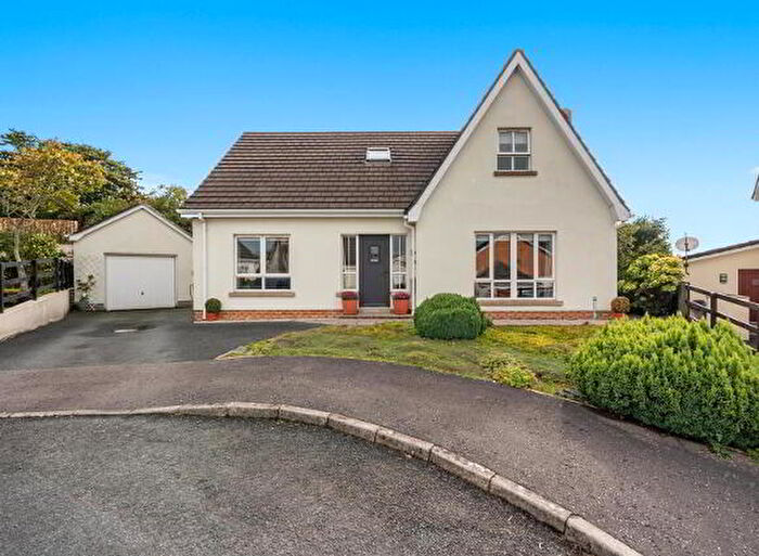 4 Bedroom Detached House For Sale In Drummond Brae, Ballynahinch, BT24