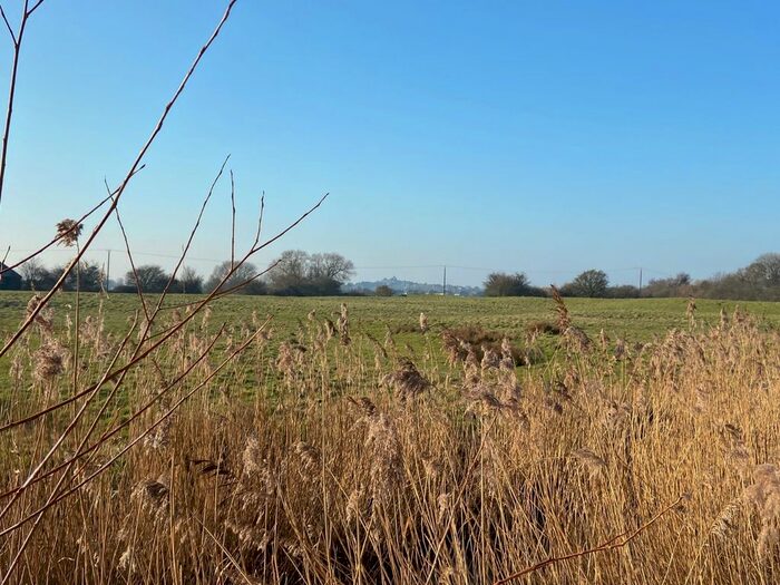 4 Bedroom Detached House To Rent In East Guldeford, Rye, East Sussex, TN31