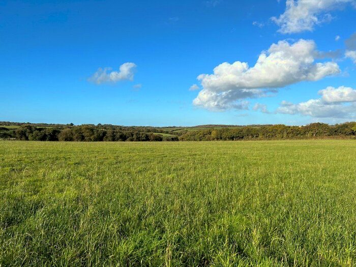 Land For Sale In Clubworthy, Launceston, PL15