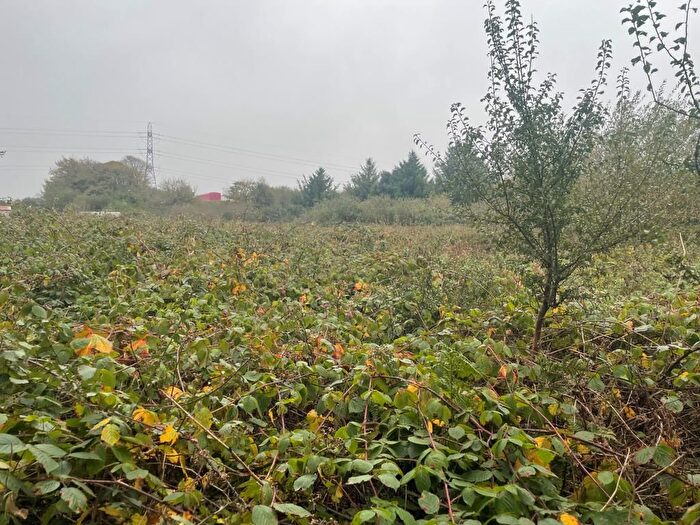 Land For Sale In Land Trezaise Road, Roche, St. Austell, Cornwall, PL26