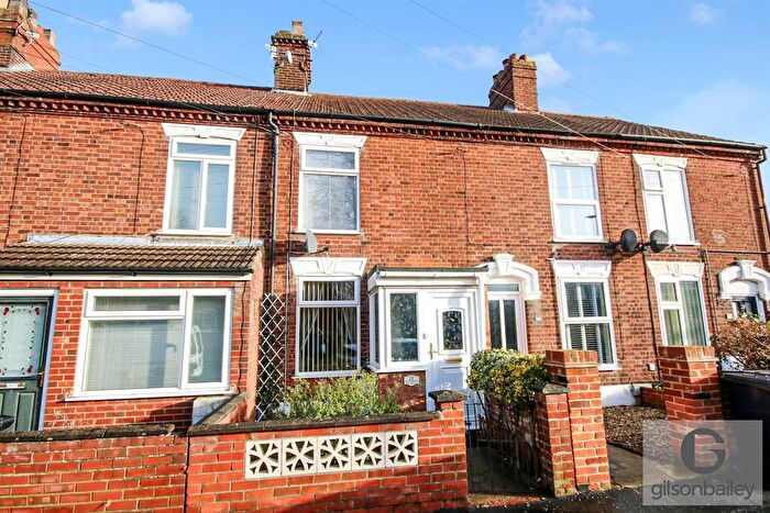3 Bedroom Terraced House For Sale In Bertie Road, Norwich, NR3