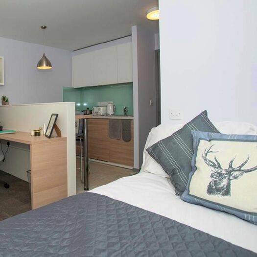 1 Bedroom Studio To Rent In Newcastle Road, Neville's Cross, Durham DH1