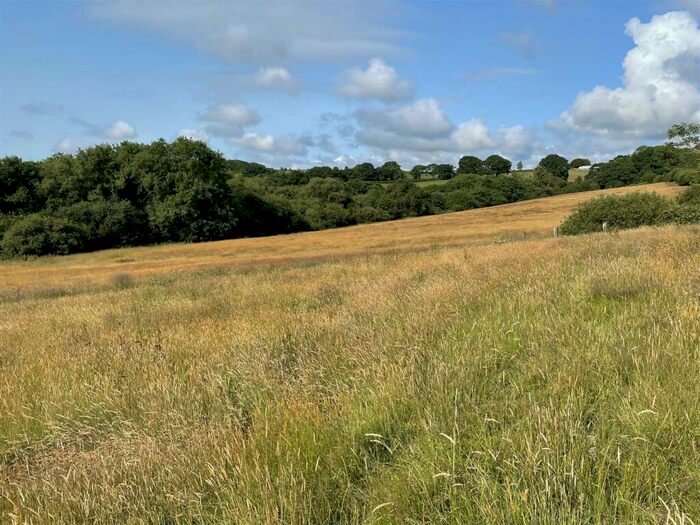 Land For Sale In Loxbeare, Tiverton, EX16