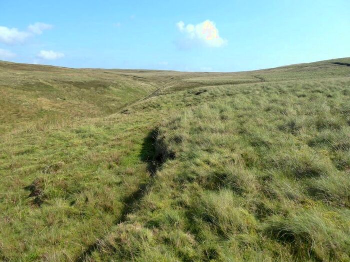 Land For Sale In Stints, East Stainmore, Regulated Pasture, CA17