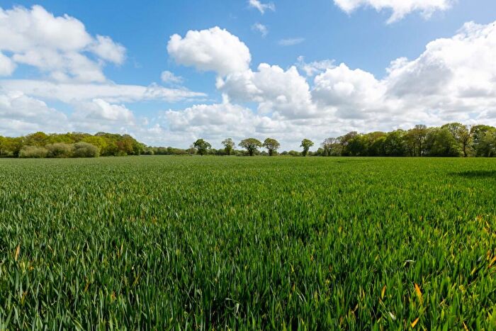 Land For Sale In Lot | Top Land, Puddington Lane, Puddington, Cheshire, CH64