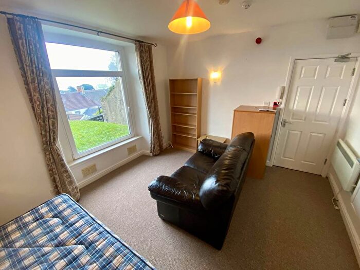1 Bedroom Flat To Rent In Bay View Crescent, Brynmill, Swansea, SA1