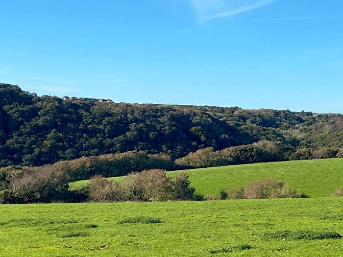 Land For Sale In Woodford, Morwenstow, Bude, Cornwall, EX23