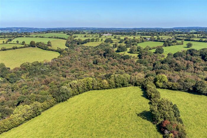 Land For Sale In Dunkeswell, Honiton, Devon, EX14