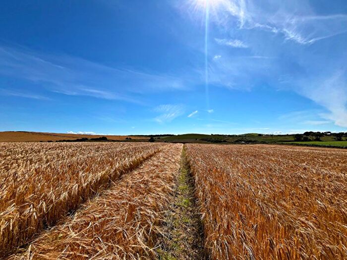 Land For Sale In Land At Little Balsier, Newton Stewart, DG8