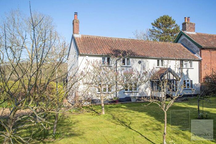 3 Bedroom Semi Detached House For Sale In Caistor Lane, Caistor St Edmund, NR14