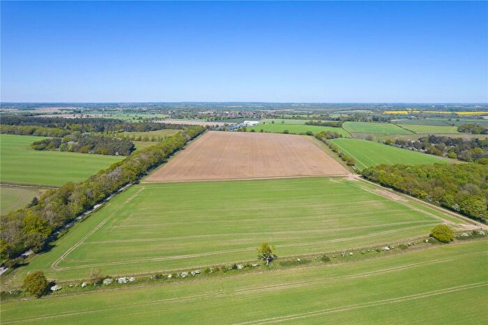 Land For Sale In Lot | Park Farm, Bylaugh, Norfolk, NR20