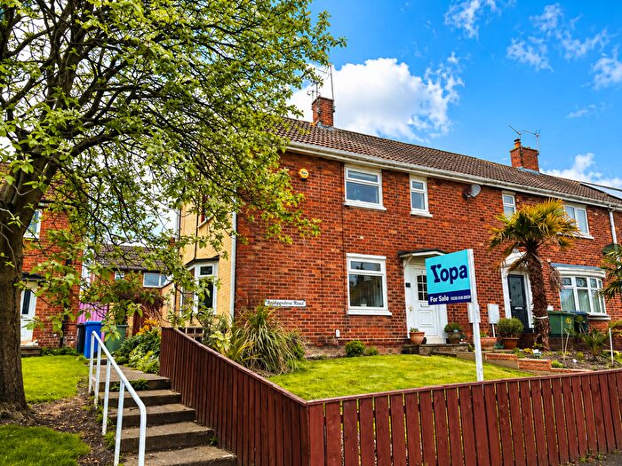 3 Bedroom Terraced House For Sale In Basingstoke Road, Peterlee, SR8