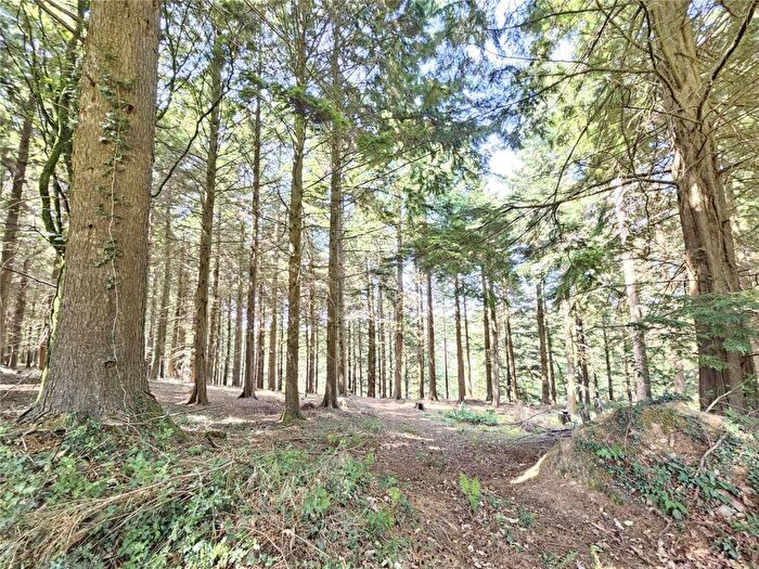 Land For Sale In Caddywell Lane, Torrington, Devon, EX38