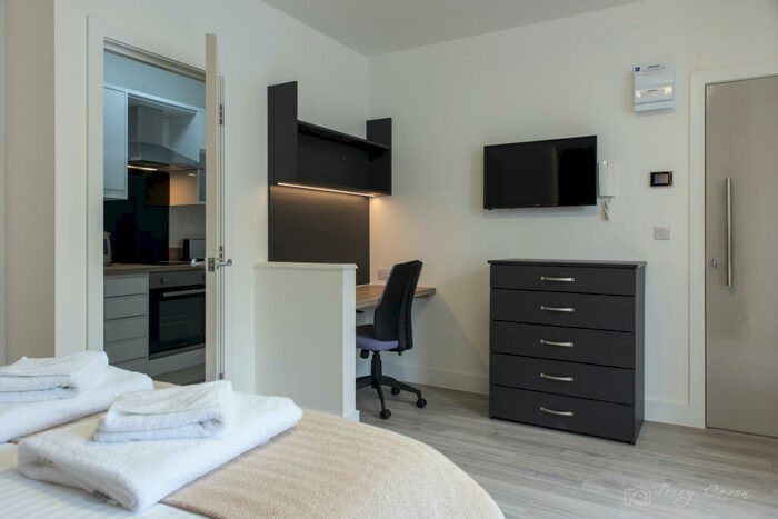 Studio To Rent In - Derrys Villa, Flat, PL4