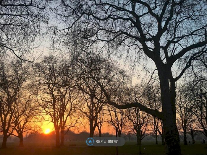 3 Bedroom Terraced House To Rent In Cadogan Terrace, London, E9