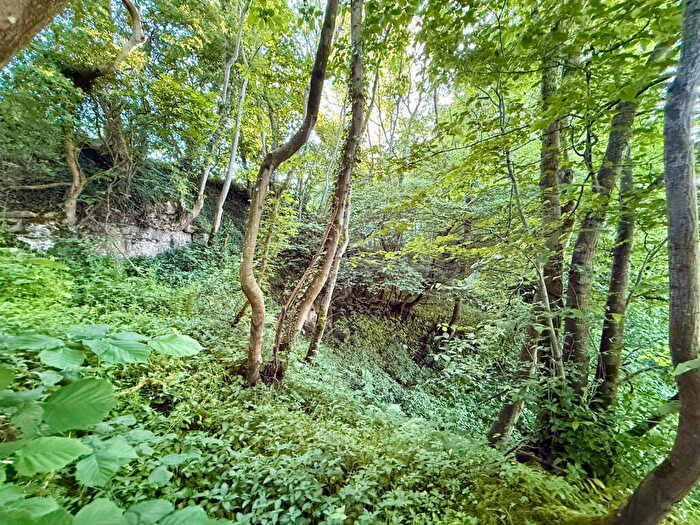 Land For Sale In . Acres Of Woodland, West Witton, DL8