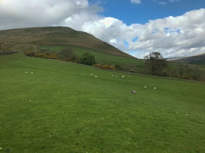 Farm Land For Sale In Joss Lane, Sedbergh, Cumbria, LA10
