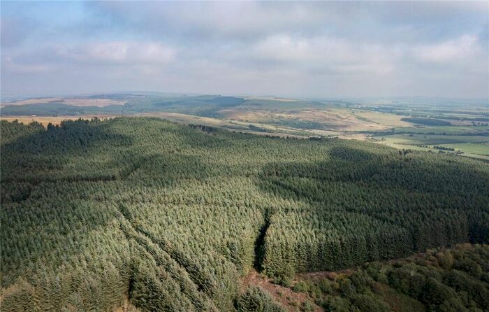 Land For Sale In Longframlington Forest, Alnwick, Northumberland, NE66