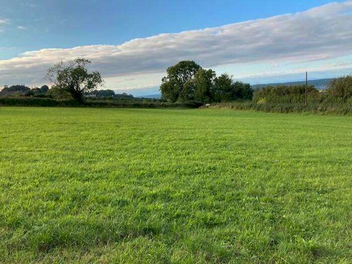 Commercial Land For Sale In Oxleaze Lane, Dundry, Bristol, BS41