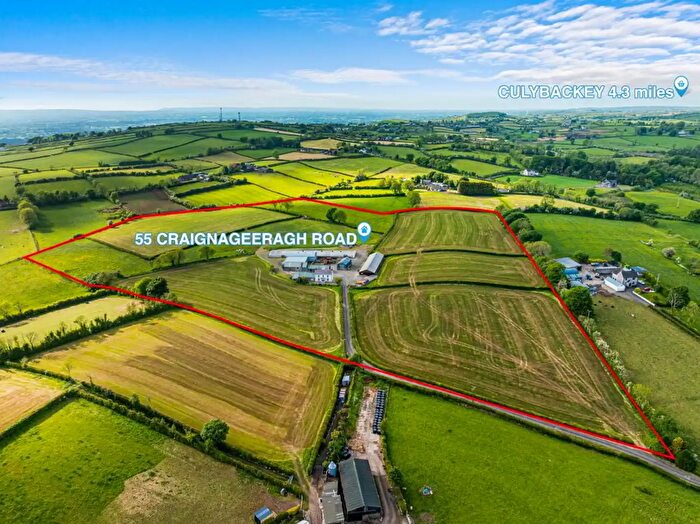 4 Bedroom Detached FarmHouse For Sale In Craignageeragh Road, Ballymena, BT42
