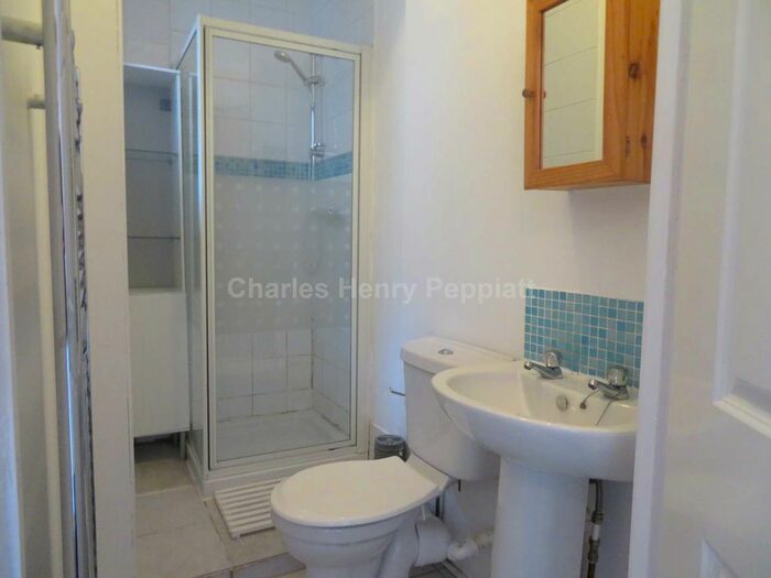 1 Bedroom Flat To Rent In Woodlands Park Road, Harringay, N15