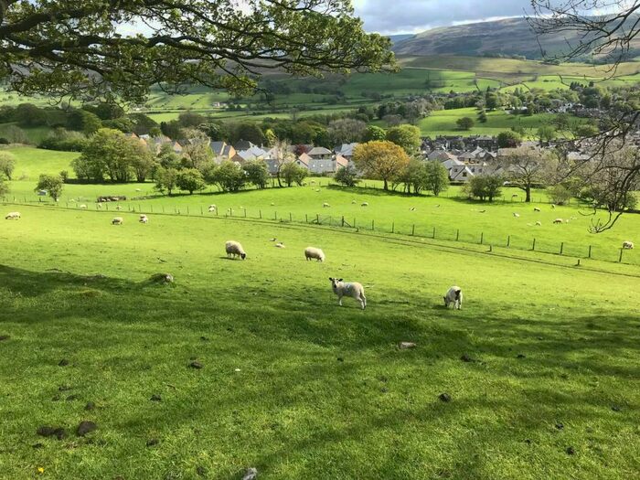 Farm Land For Sale In Joss Lane, Sedbergh, Cumbria, LA10