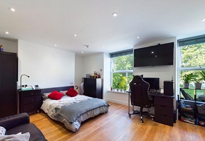 1 Bedroom Studio To Rent In Bryn Road, Brynmill, SA2