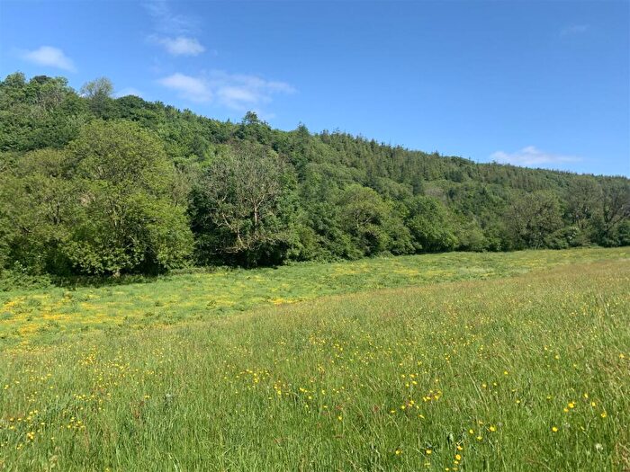 Land For Sale In Rhydargaeau Road, Carmarthen, SA32