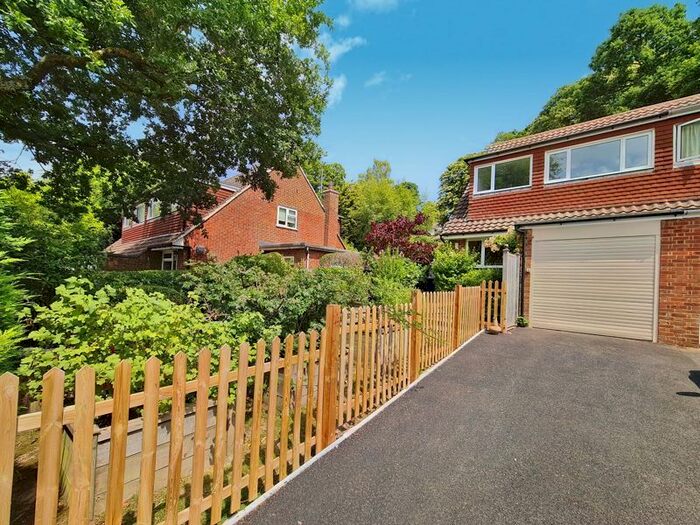3 Bedroom Semi-Detached House To Rent In The Avenue, Haslemere, GU27