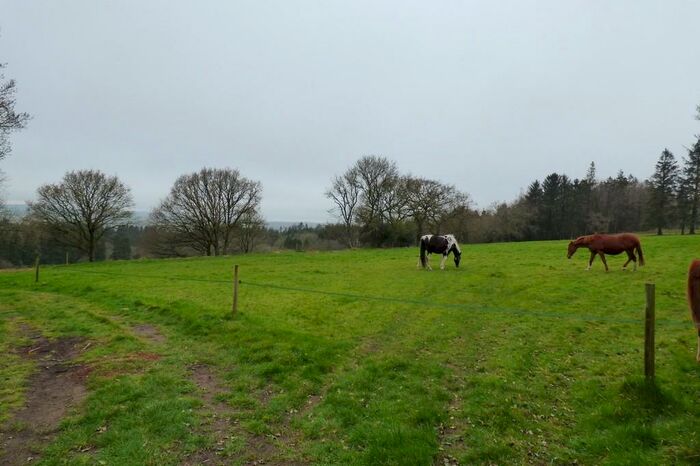 Land For Sale In Land At Pen Selwood, BA9