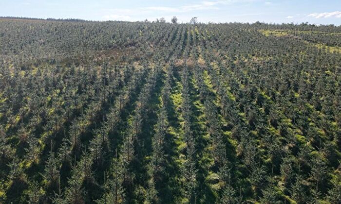 Land For Sale In Low Keirs, Patna, KA6