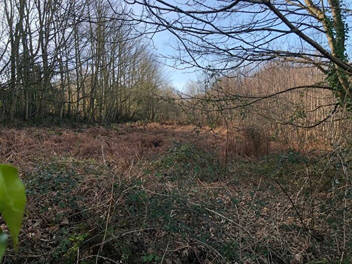Land For Sale In Plot Land At Battery Hill, Fairlight, Hastings, East Sussex, TN35