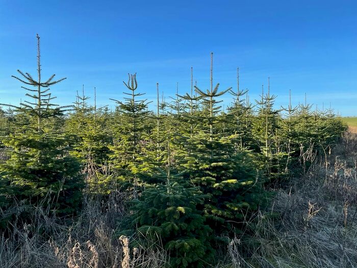 Farm For Sale In Lot, Home Farm, Tathwell, LN11
