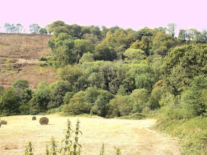 Land For Sale In Cenarth, Ceredigion, SA38