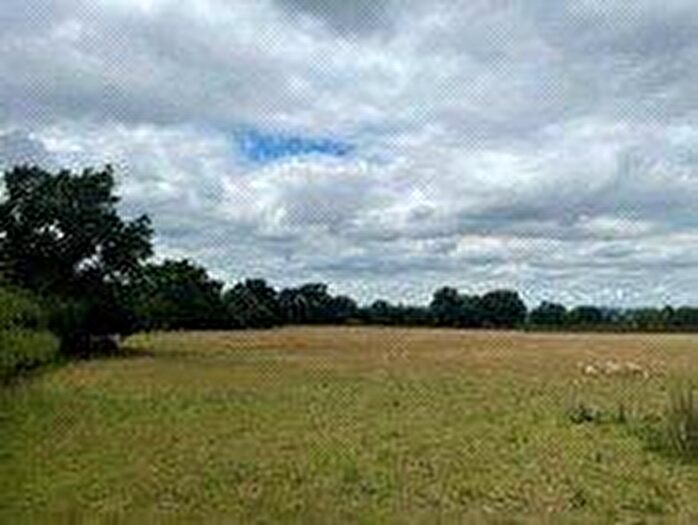 Land For Sale In Gwernesney, Usk, Monmouthshire, NP15