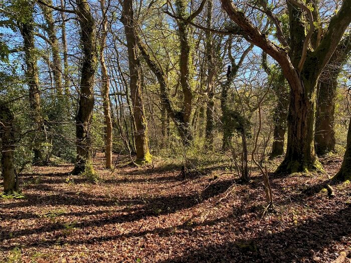 Land For Sale In Black Torrington, Beaworthy, Devon, EX21