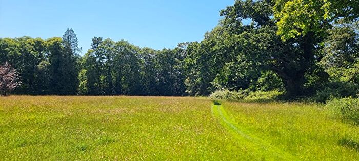 Land For Sale In Brookley Road, Brockenhurst, SO42