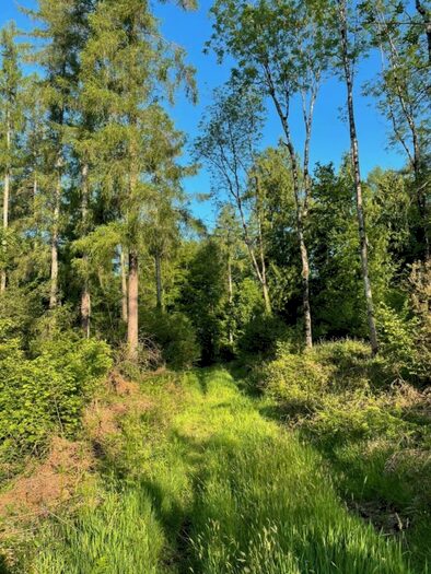 Land For Sale In Teffont, Salisbury, SP3