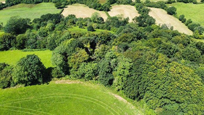 Farm Land For Sale In Abergwili, Carmarthen, SA32
