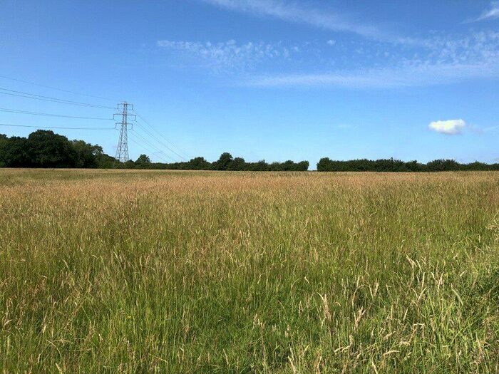 Land For Sale In Bodle Street Green, Hailsham, BN27