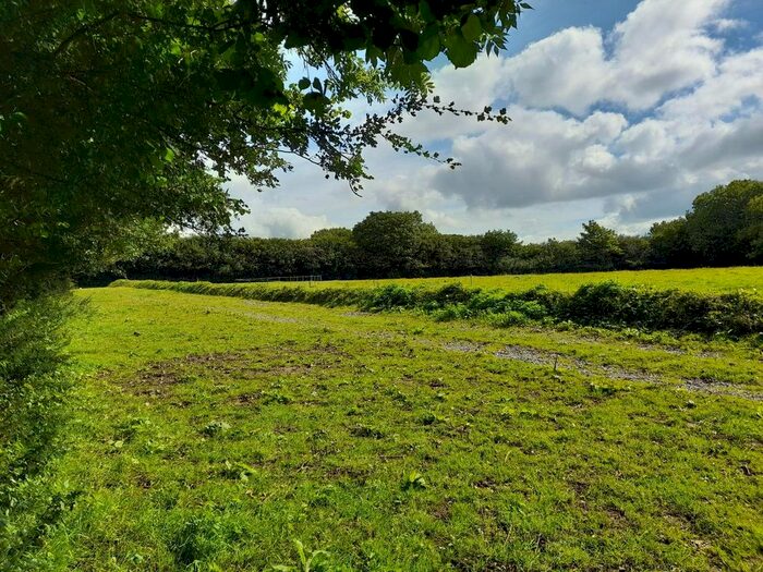 Land For Sale In Buckland-In-The-Moor, Ashburton, Newton Abbot, TQ13