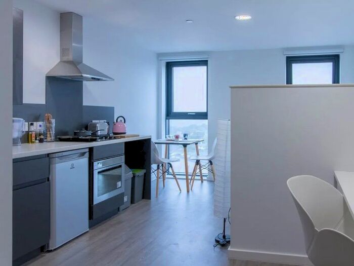 1 Bedroom Flat To Rent In Oxford Road, Bournemouth, BH8