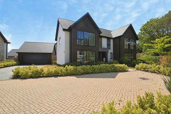 4 Bedroom Detached House For Sale In Tarka Grove, Hampton Water, Peterborough, PE7