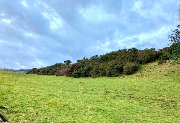 Land For Sale In Hodge Hill Farm - Lot, Cartmel Fell, Grange-Over-Sands, Cumbria, LA11