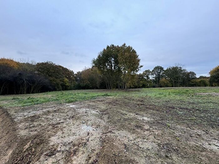 Land For Sale In Land Off, Dorking Road, Kingsfold, Horsham, West Sussex, RH12