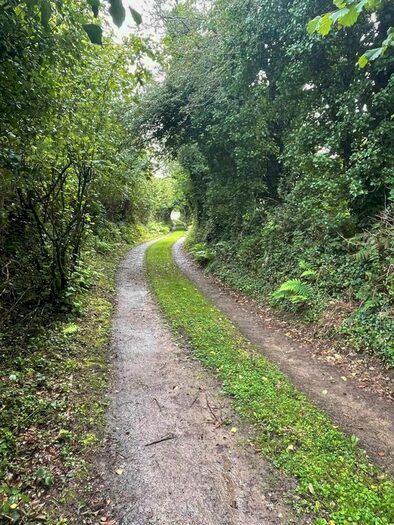 Land For Sale In Land &amp; Track At Moss Side, Callington, Cornwall, PL17