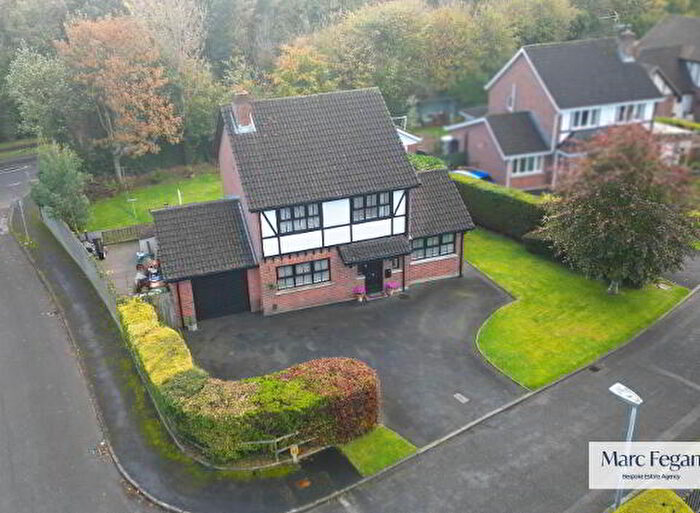 4 Bedroom Detached House For Sale In The Grange, Craigavon, BT67