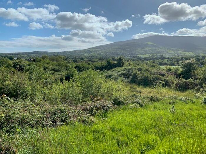 Land For Sale In Maphoner Road, Mullaghbawn, Newry, BT35